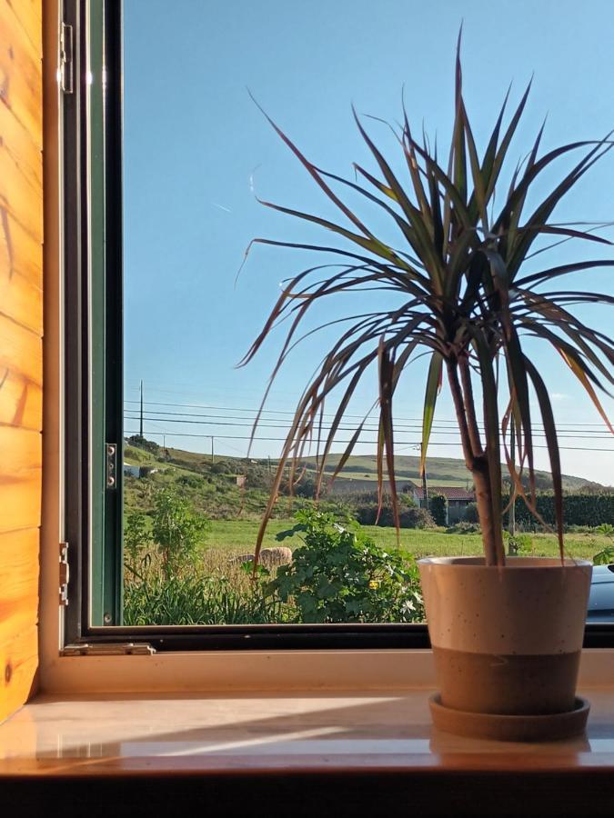 Roots Cozy House Raposeira Villa Raposeira  Dış mekan fotoğraf